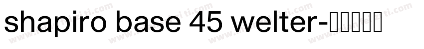 shapiro base 45 welter字体转换